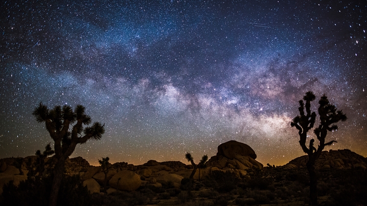 约书亚树国家公园上空的银河，美国加利福尼亚州 