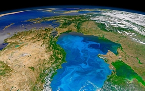 黑海表面绿意盎然的游离微生植物 