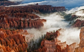 美国犹他州 ，布莱斯峡谷国家公园的雾中石林