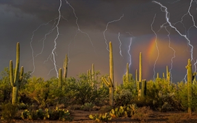 亚利桑那州索诺拉沙漠 ，图森北部托托利塔山麓上空的雷暴