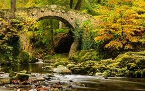 托利莫尔森林公园的弗利桥，英国北爱尔兰 