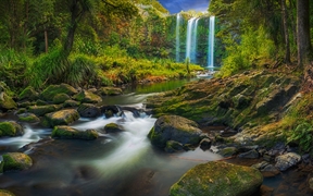旺阿雷自然保护区里的旺阿雷瀑布，新西兰北岛 