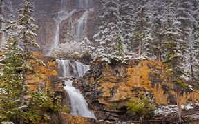 贾斯珀国家公园纠结溪瀑布，阿尔伯塔省，加拿大 