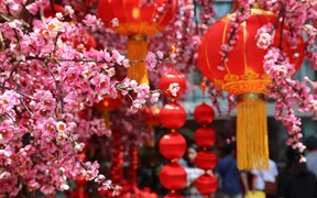 春节的桃花和红灯笼 