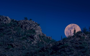 月亮升起，图森，亚利桑那州，美国 