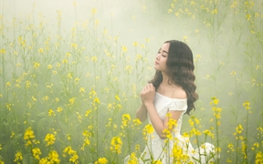大雾弥漫的黄色油菜花中清纯美女祈祷中的样子，长发美女5k壁纸图片
