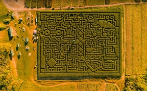 塞勒斯堡的玉米迷宫，宾夕法尼亚州，美国 