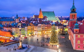 城堡广场的圣诞树，华沙古城，波兰 