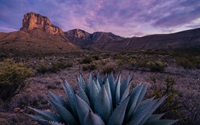 瓜达卢佩山脉国家公园日出时的埃尔卡皮坦山，德克萨斯州，美国 
