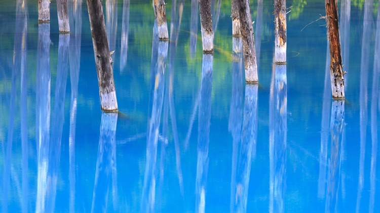 日本北海道的美瑛蓝池 