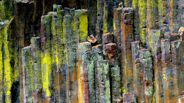 美国俄勒冈州 ，在乌姆普夸国家森林的柱状玄武岩石材
