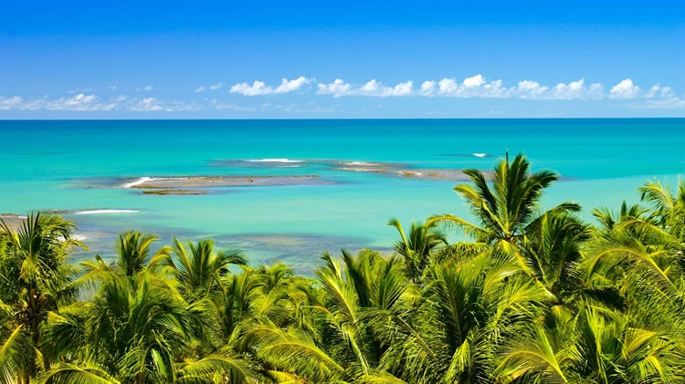 巴西巴伊亚州 ，特兰科苏附近的镜面海滩