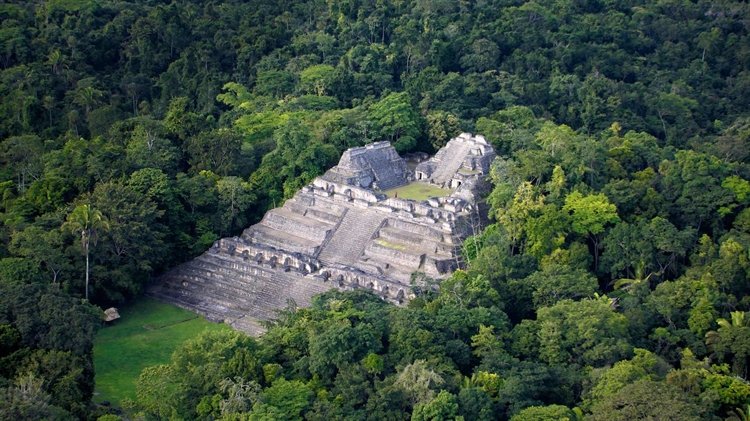 伯利兹 ，卡拉科尔玛雅考古遗址