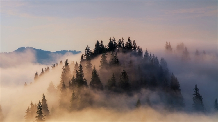 德国 ，大雾笼罩下的巴伐利亚阿尔卑斯山脉