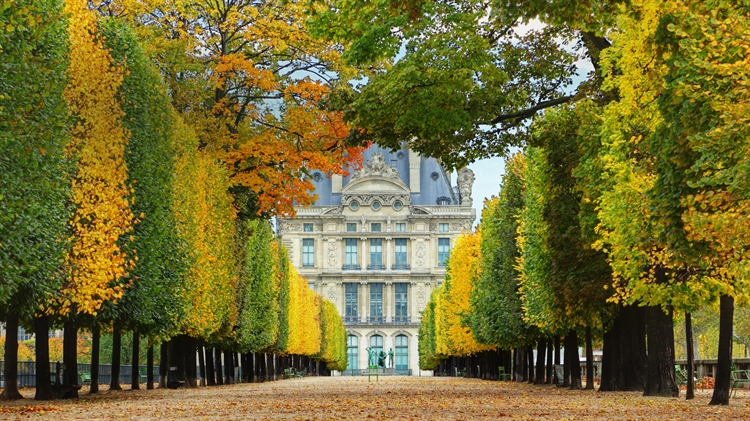 法国巴黎 ，秋日里通往卢浮宫的杜乐丽花园