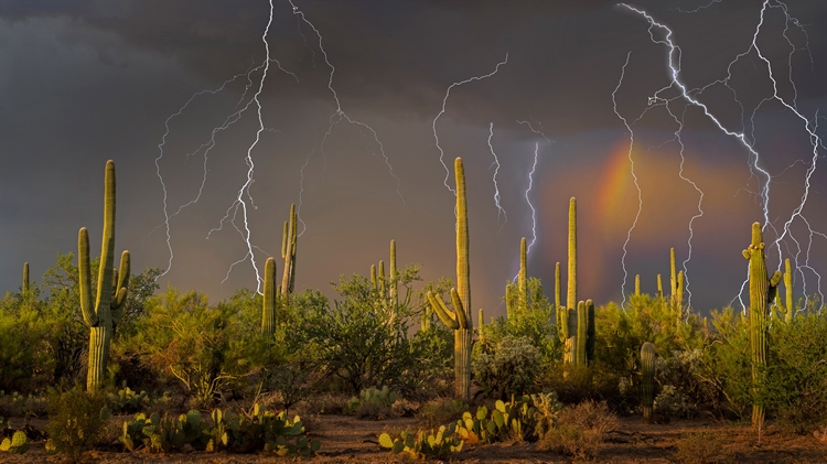 亚利桑那州索诺拉沙漠 ，图森北部托托利塔山麓上空的雷暴