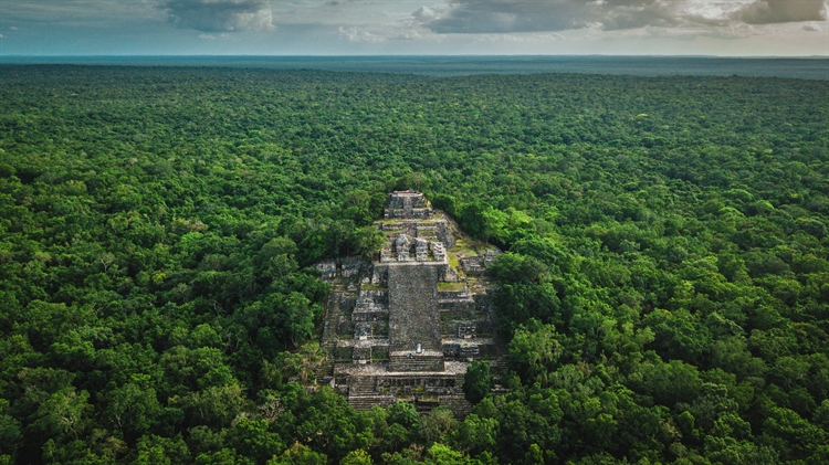 被丛林包围着的玛雅古城卡拉克穆尔遗址，墨西哥坎佩切 