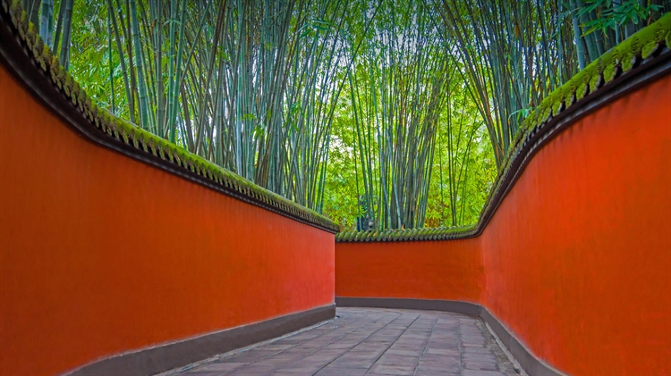 武侯祠内红墙和竹林掩映下的小巷，中国成都 