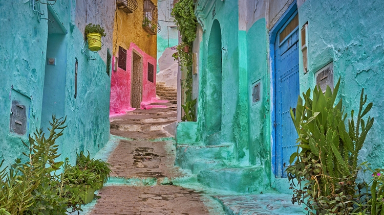 麦地那的彩色小巷， 摩洛哥得土安市 