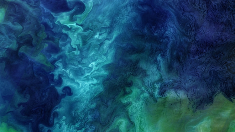 楚科奇海的浮游植物水华，美国阿拉斯加州海岸附近 