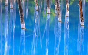 日本北海道的美瑛蓝池 