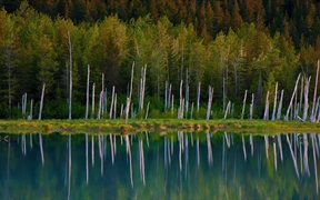 阿拉斯加州 ，楚加奇国家森林的波蒂奇湖