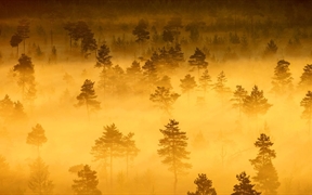 芬兰 ，【今日雨水】特隆索国家公园
