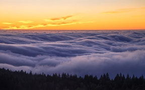 加利福尼亚 ，塔玛佩斯山州立公园上空的雾