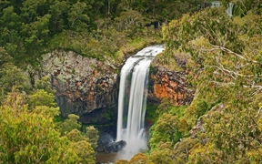 澳大利亚 ，Guy Fawkes River国家公园内的埃博瀑布