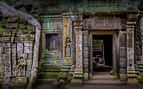 柬埔寨 ，吴哥考古园内的塔布茏寺