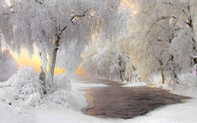 芬兰 ，库赫莫附近的冬日美景