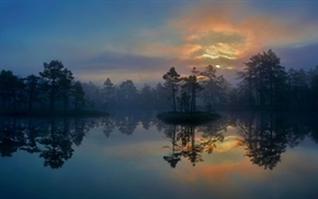 瑞典 ，西曼兰省的一片湿地