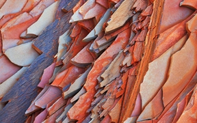 澳大利亚 ，哈默斯利峡谷里的石头结构