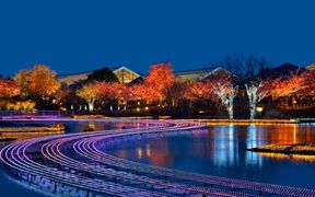 日本桑名市 ，名花之里冬季彩灯展