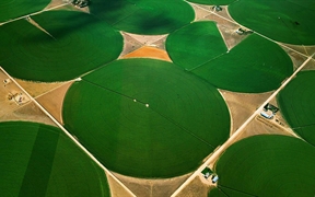科罗拉多州摩根县 ，圆形农田
