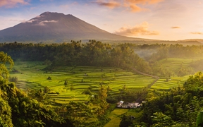 印度尼西亚巴厘岛 ，以阿贡火山为背景Sidemen山谷中的稻田