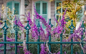 屋前的鲜花和铁艺围栏，路易斯安那州新奥尔良 