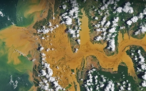 马尼亚河的卫星图像，马达加斯加 