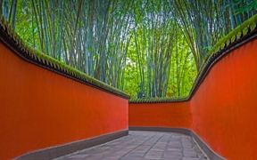 武侯祠内红墙和竹林掩映下的小巷，中国成都 