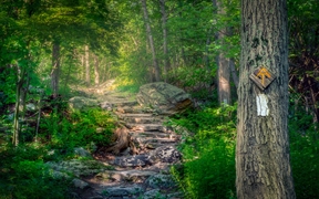 阿巴拉契亚国家步道,新泽西州斯托克斯州立森林 