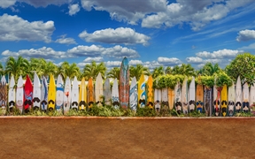 排成篱笆模样的旧滑板，夏威夷毛伊岛 