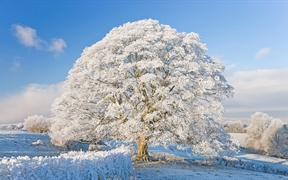 霜雪覆盖下的科茨沃尔德，英格兰 