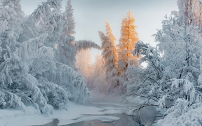 奥伊米亚康的冬天，俄罗斯 