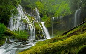 春天的豹溪瀑布，吉福德·平肖国家森林，美国华盛顿州 