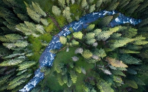 加勒廷国家森林里的小溪，美国蒙大拿州 