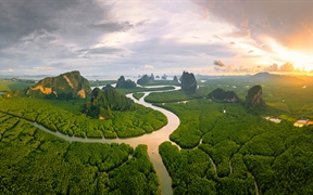 攀牙湾安达曼海的红树林，泰国 