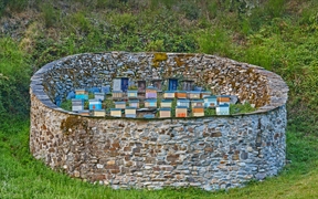 西班牙阿斯图里亚斯省穆涅略斯自然保护区的蜂箱 