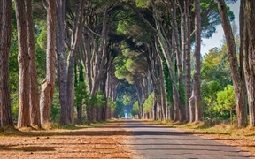 米利亚里诺自然公园，圣罗索尔，意大利马萨西犹可利 