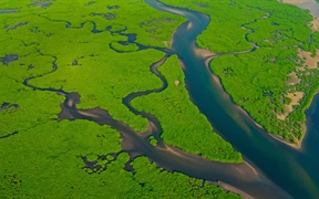 亚马逊河鸟瞰图，巴西 