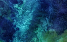 楚科奇海的浮游植物水华，美国阿拉斯加州海岸附近 